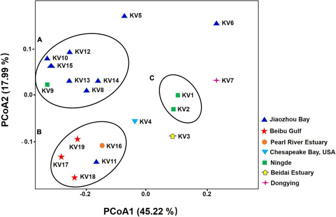 FIGURE 2