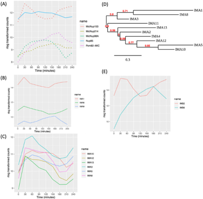 FIGURE 4: