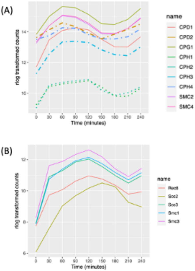 FIGURE 3: