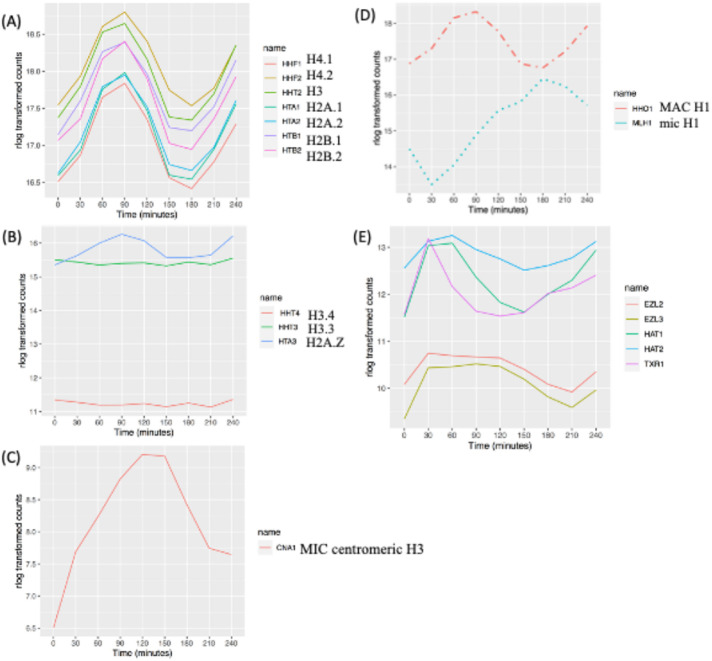 FIGURE 2: