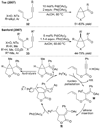 Fig. 12