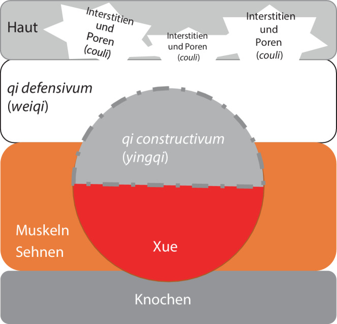 graphic file with name 52_2023_76_Fig1_HTML.jpg