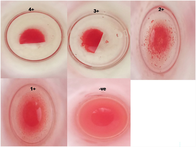 Figure 4.