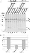 FIG. 4.