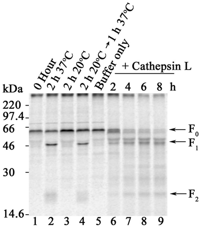 FIG. 5.