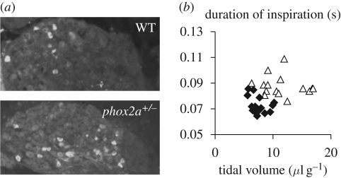 Figure 4.