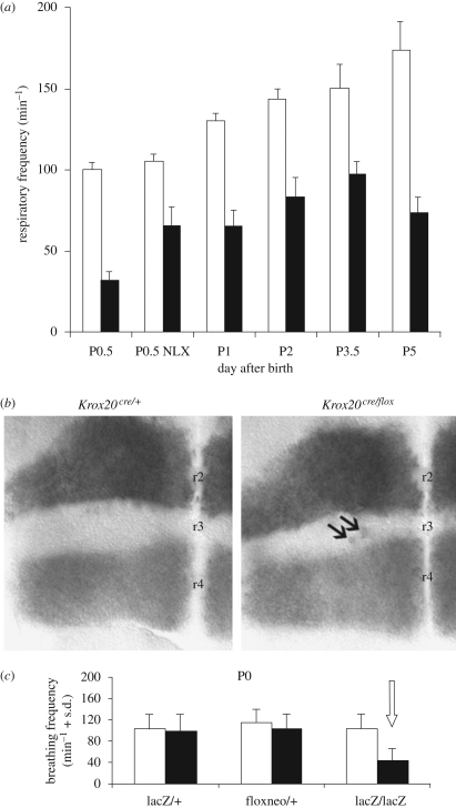 Figure 1.