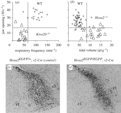 Figure 2.