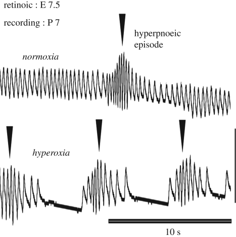 Figure 3.