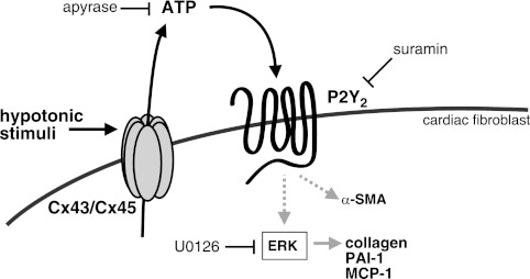 Figure 11.