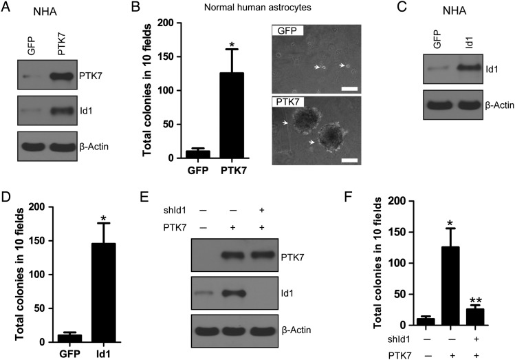 Fig. 4.