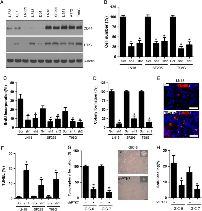 Fig. 2.