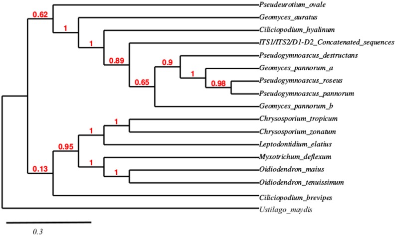 Fig 3