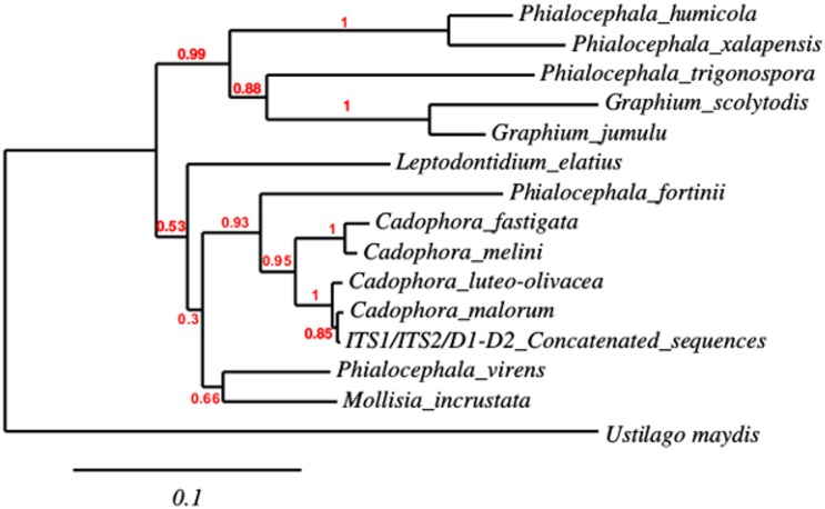 Fig 1