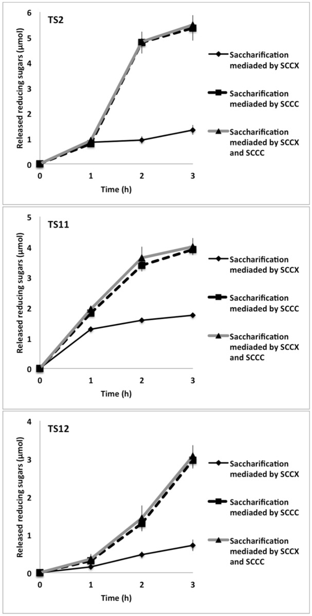 Fig 10