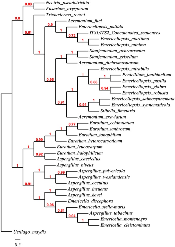 Fig 2