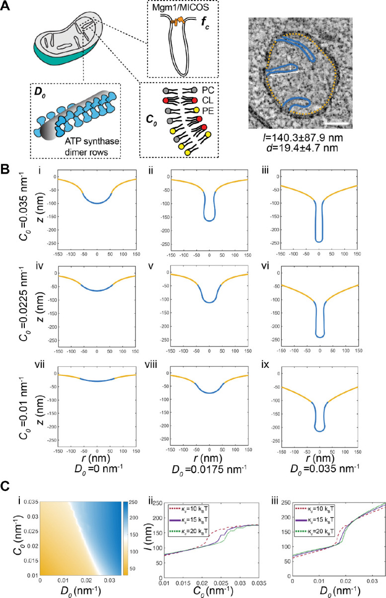 Figure 5: