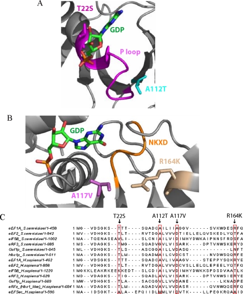 FIGURE 7.