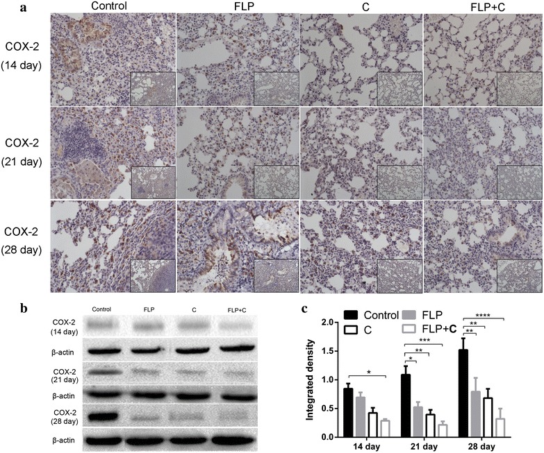 Fig. 4