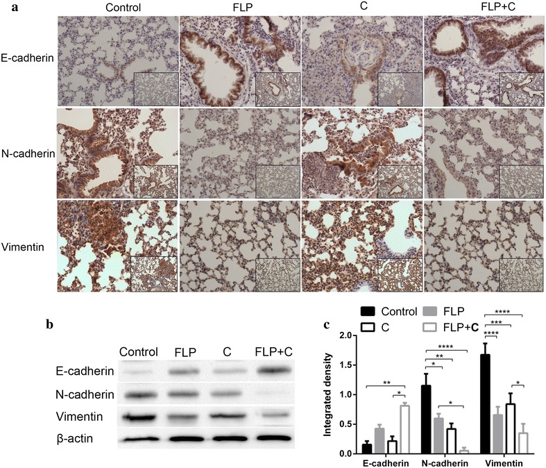 Fig. 6