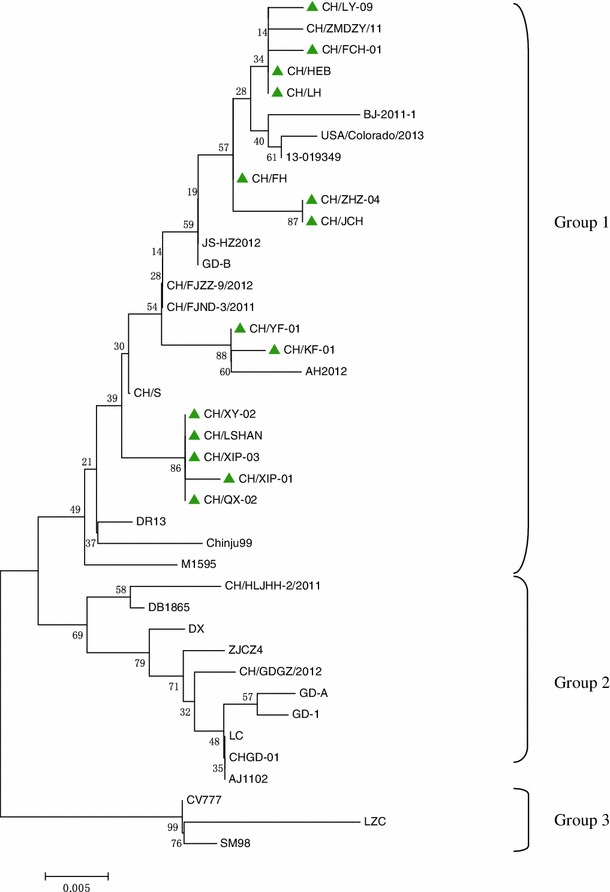 Fig. 1