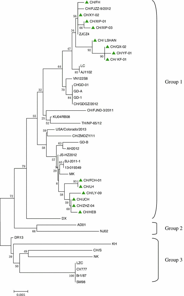 Fig. 2