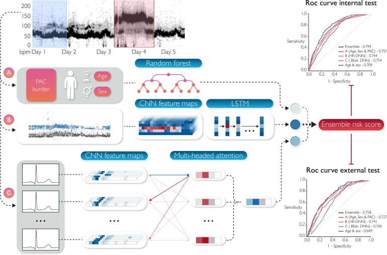 Graphical Abstract