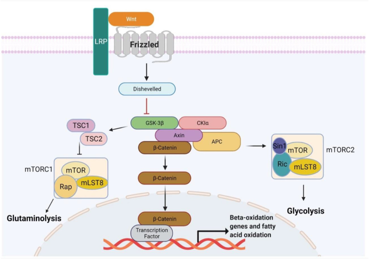 Figure 3