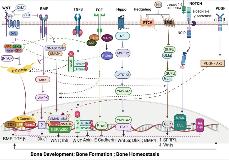 Figure 2