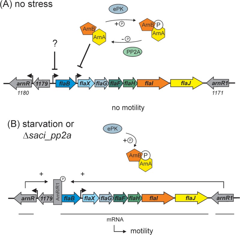 Fig. 8.