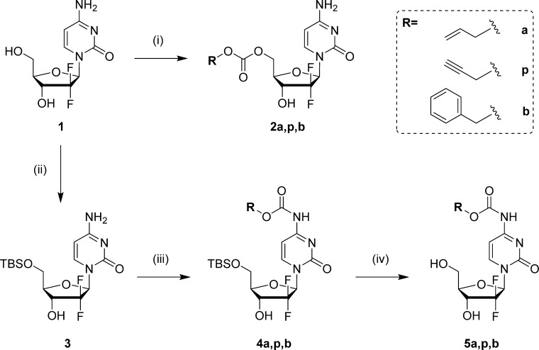 Scheme 1