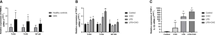 Figure 4