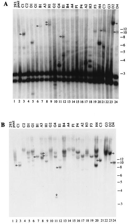 FIG. 7