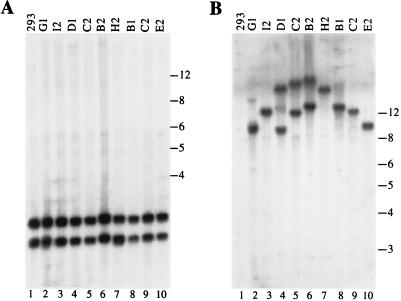 FIG. 6