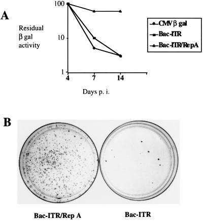 FIG. 5