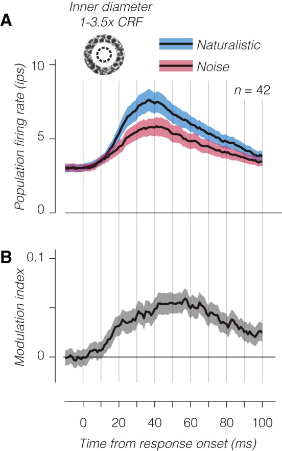 Fig. 10.