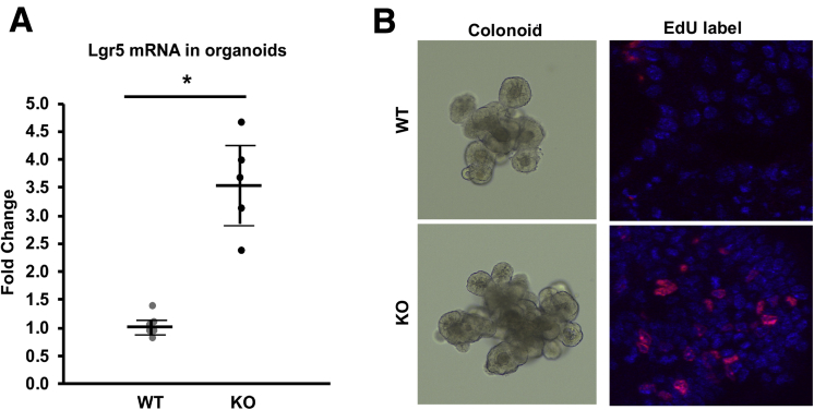 Figure 6