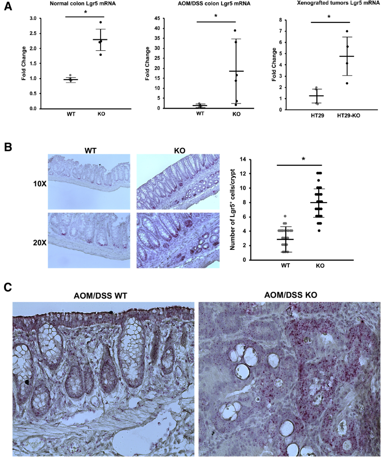 Figure 5