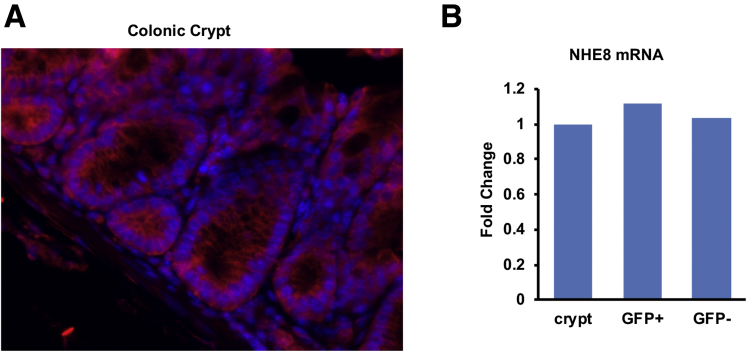 Figure 4