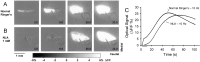 Fig. 8.