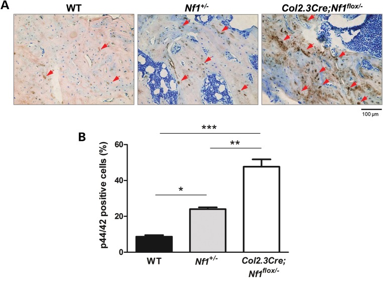 Figure 1.