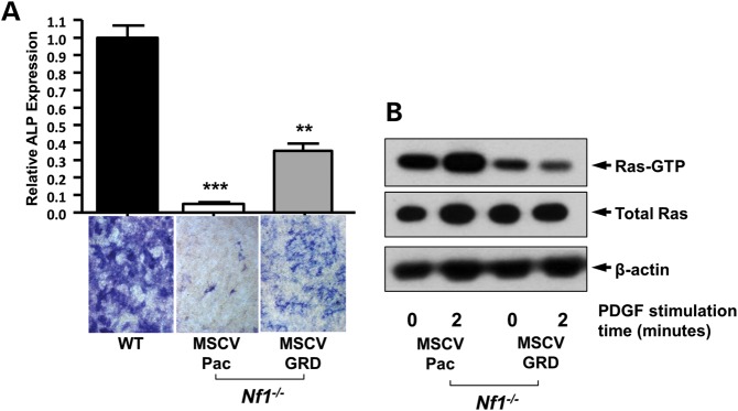 Figure 3.