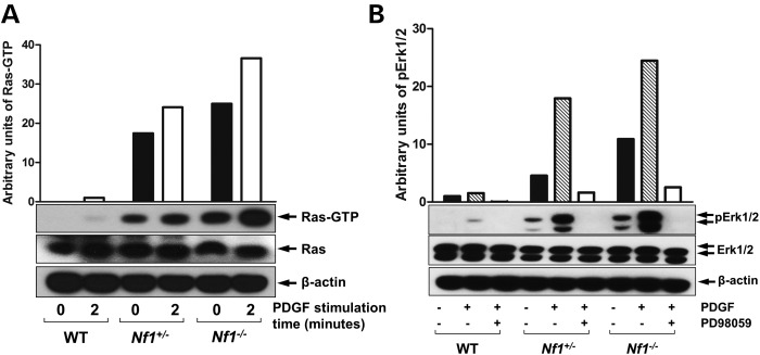 Figure 2.