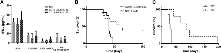 Figure 7