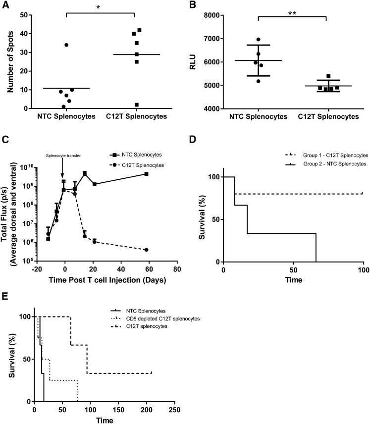 Figure 6