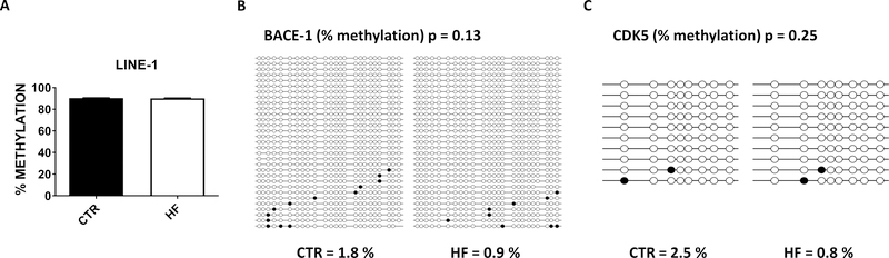 Figure 5: