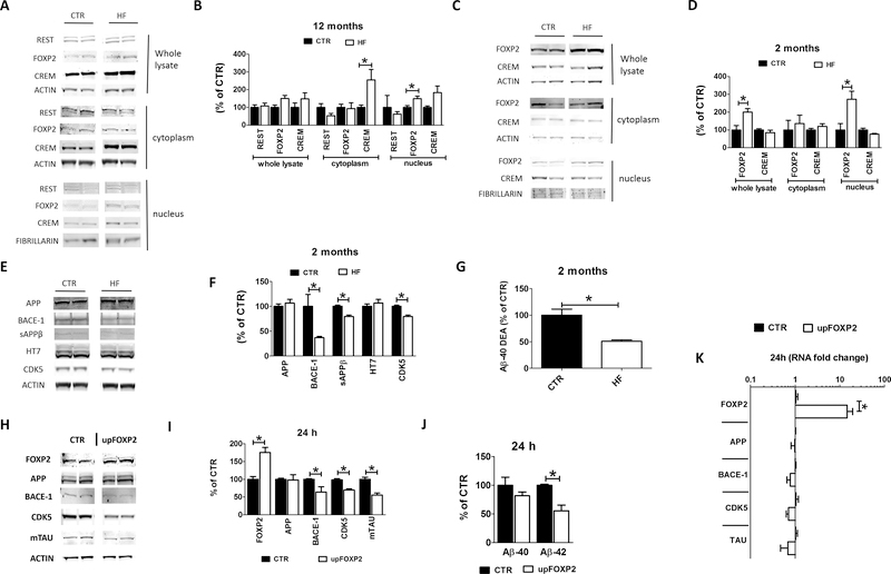 Figure 6: