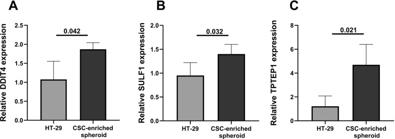 Fig. 10