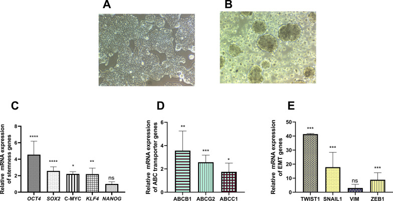 Fig. 9