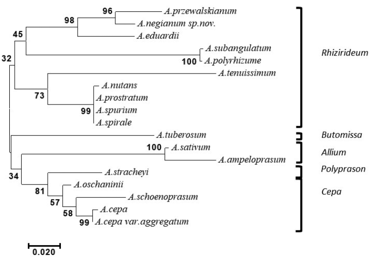 Figure 4.